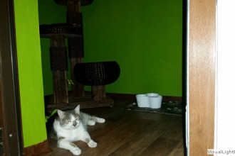 Smoky entspannt...