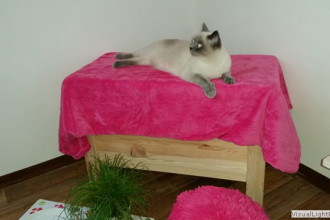 kleine Prinzessin