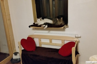 Marley und Leni - ein Herz und eine Seele