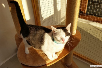 Ginny genießt die Sonne