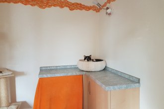 gemütliche Cat's Corner