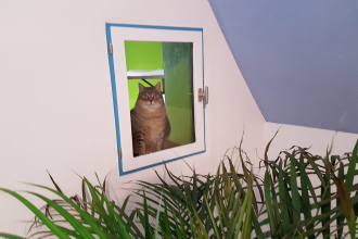 Hallo Schnuffi