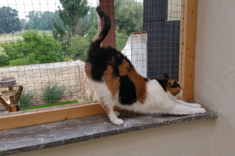 Lucy beim Frühsport