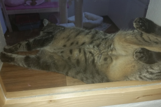 Mimi macht Quatsch