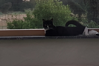 ich fühle mich gut
