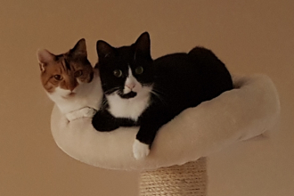 im Nachbarzimmer gibt es was zu sehen