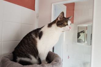 interessanter Ausblick