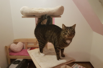 toll im Kitty Loft
